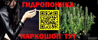 крисы Бугуруслан