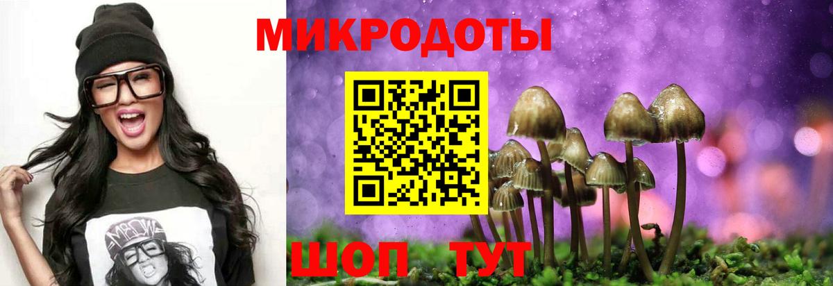 Лянтор  Псилоцибиновые грибы MAGIC MUSHROOMS  дарнет шоп  Вход с VPN  Галлюциногенные грибы Psilocybe 