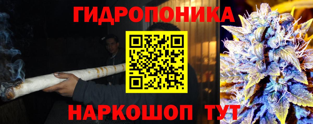 Бошки марихуана MAZAR Лянтор